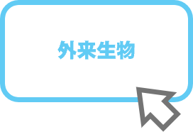 外来生物