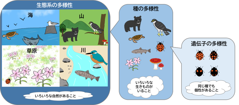 生物多様性とは?