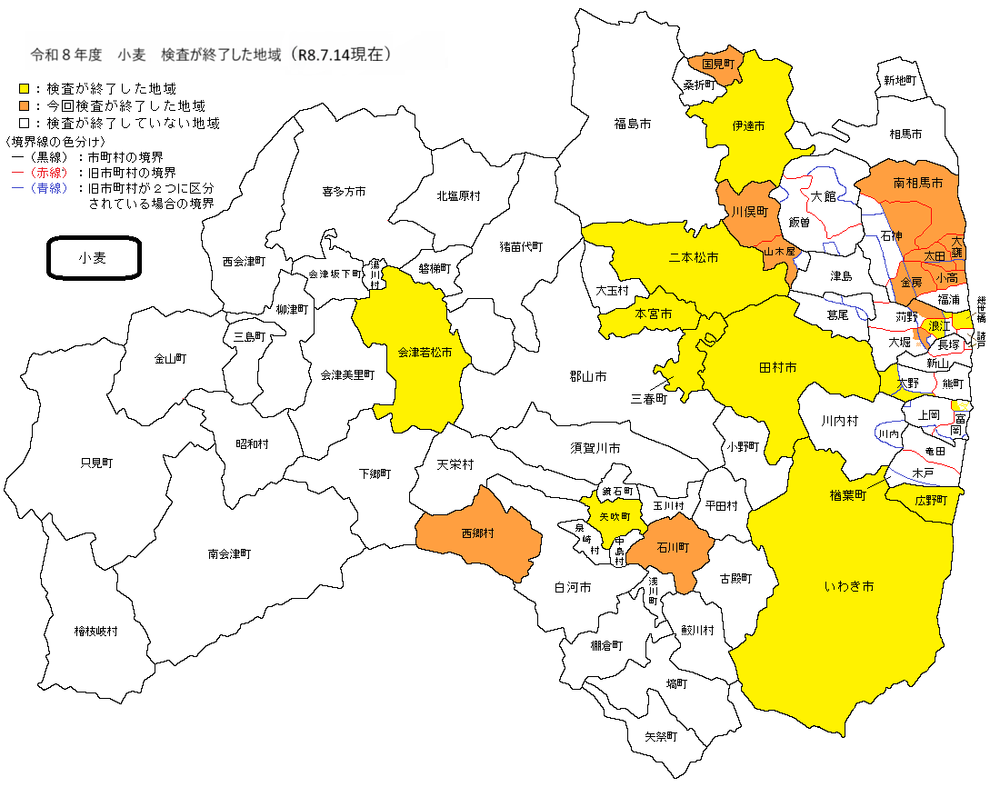 小麦