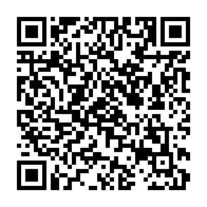 しらかわコネクト1・2(対象者:小学生・中学生)