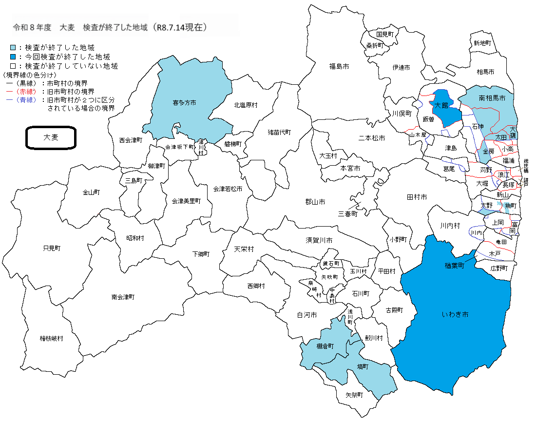 大麦
