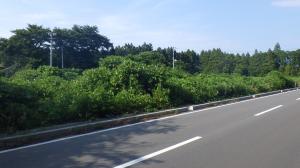 道路側２