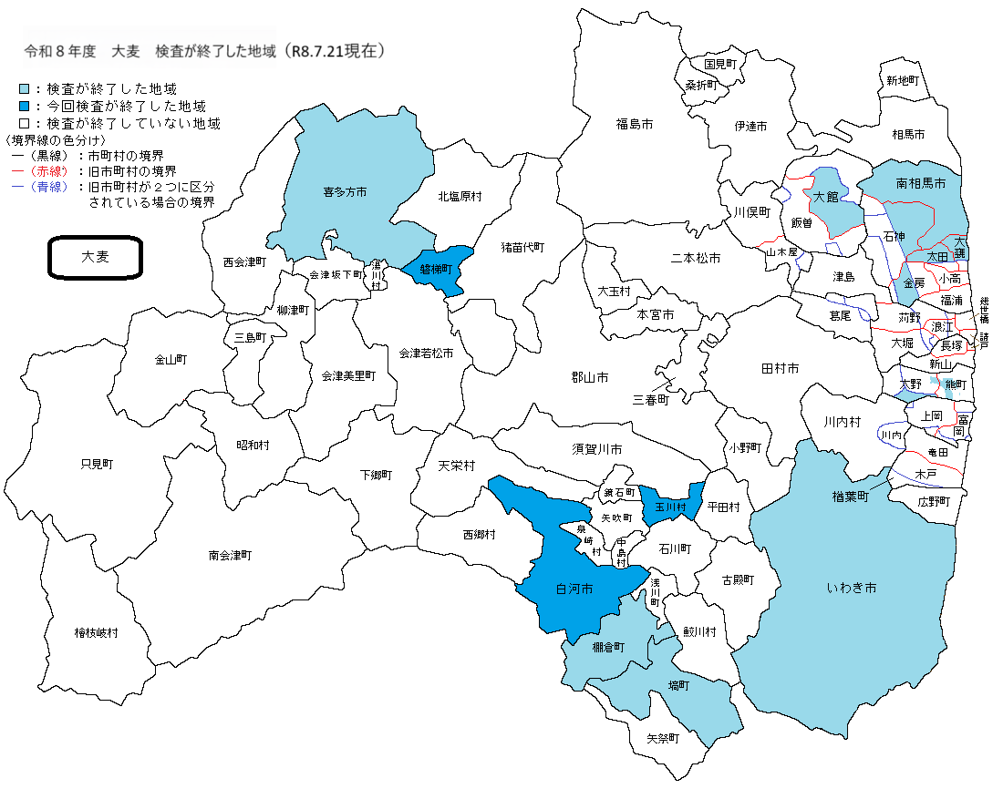 大麦