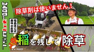 何これ?~水田用作業機械編(その3)~