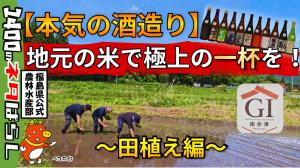 地元産の米でお酒をつくる~GI南会津(清酒)~【田植え編】