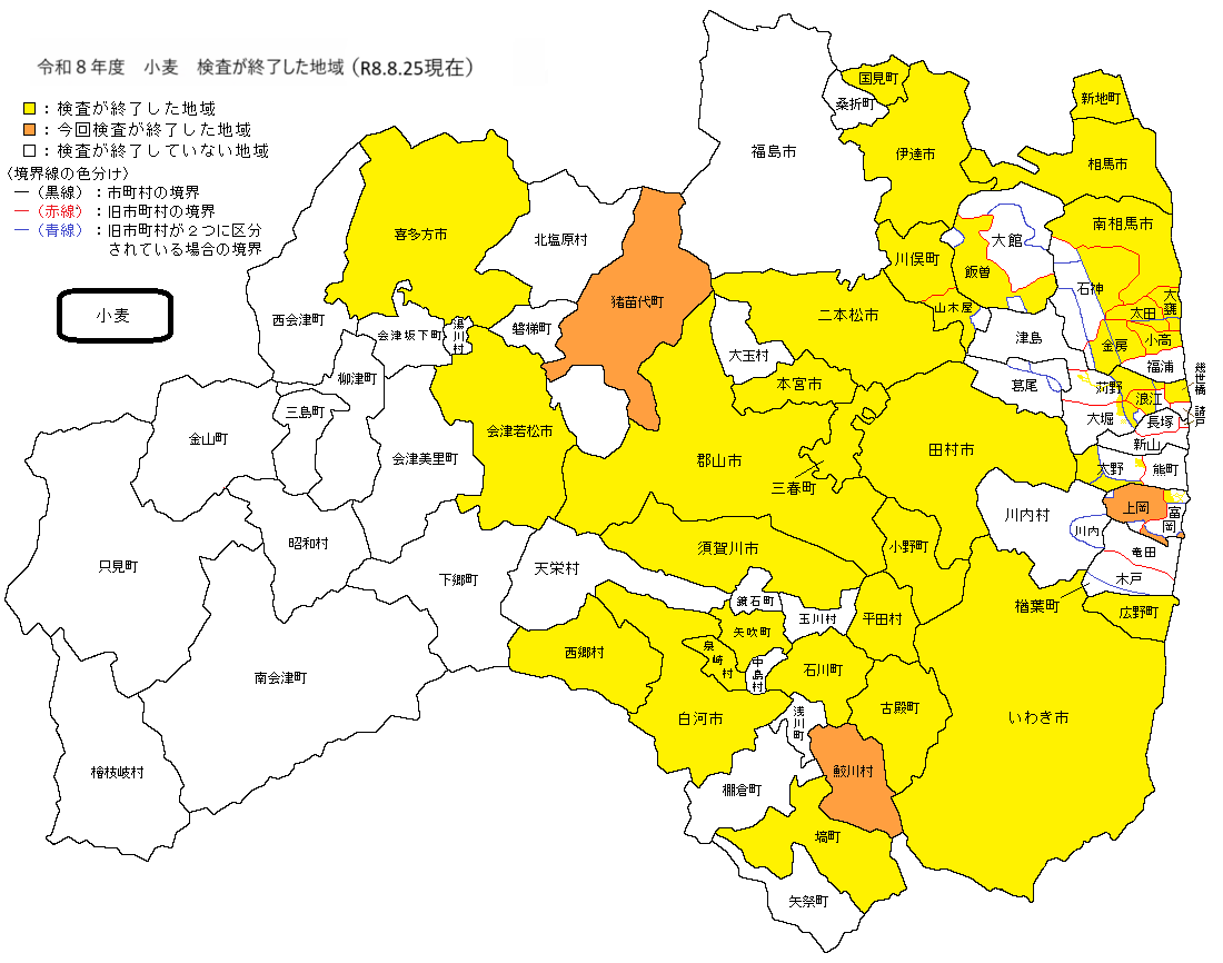 小麦