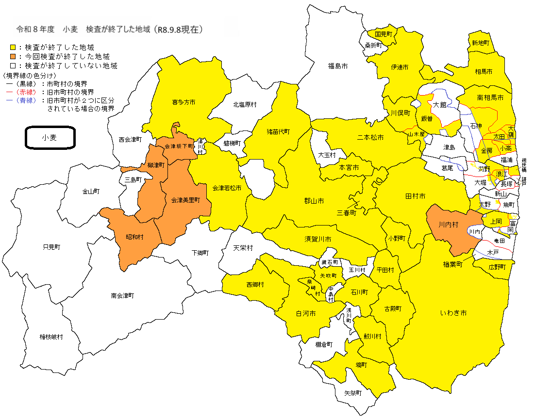 小麦