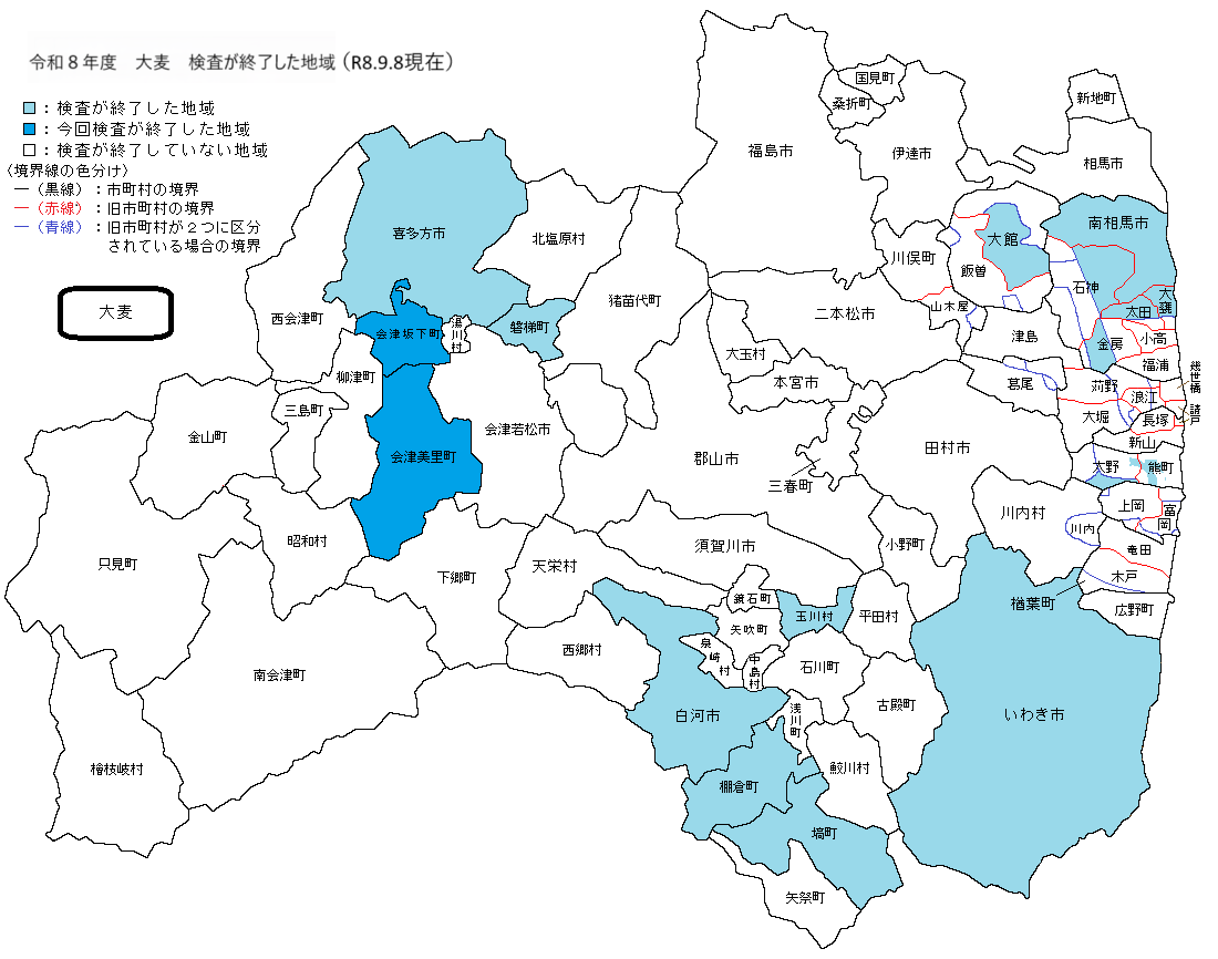 大麦