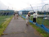 ほ場見学