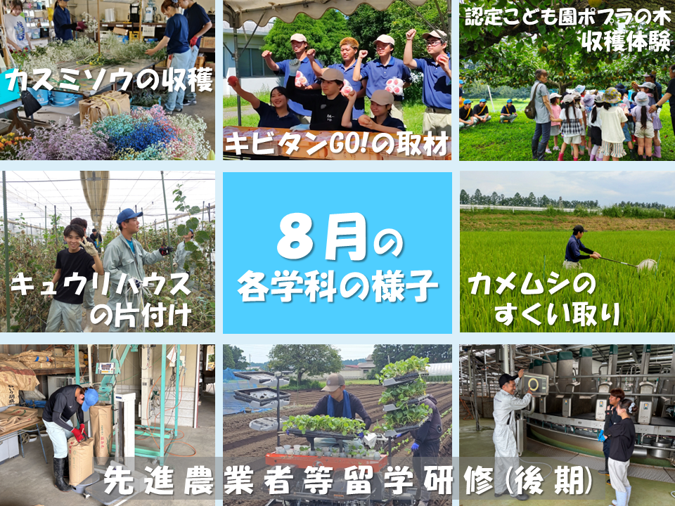 8月
