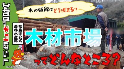 木材市場ってどんなところ？
