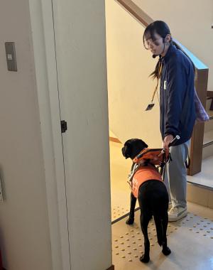 PR犬歩行見学の写真