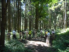 第１期森林整備事業　山潟地区