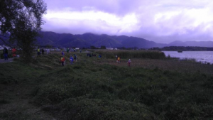 猪苗代湖岸ヨシ刈り・清掃ボランティア4