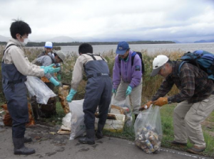 猪苗代湖岸ヨシ刈り・清掃ボランティア8