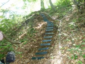 志津倉山ボランティア１