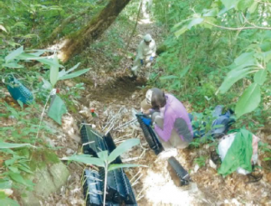 志津倉山ボランティア６