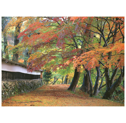 圓蔵寺境内の紅葉