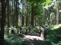 森林(もり)の未来を考える懇談会現地調査実施状況