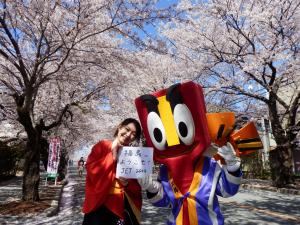 チーム富岡さくらYOSAKOIのメンバーとマスコット