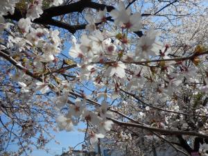 愛あるがゆえに