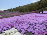 この美しさは圧倒的