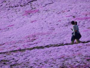 いつか自分も..