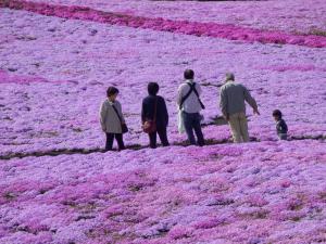 なんとも微笑ましい風景だろう