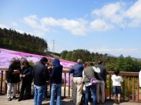 誰もがこの美景に心を奪われ、シャッターを押し付けた