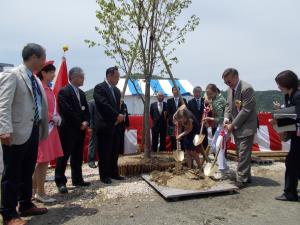 Planting Wild Cherry Blossom