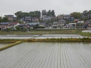 玉川村の田んぼ