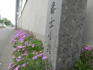 市街地の一角に佇む千駒酒造