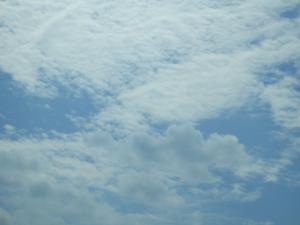 どこまでも続く青空の下、野馬追が行われた