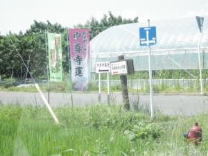 蓮池の池の入り口