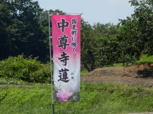 風になびく中尊寺蓮ののぼり