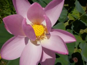 時空を超える語り部