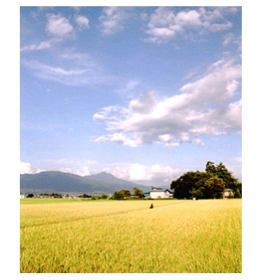 田園風景と磐梯山