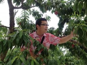 この夏、5回目の桃狩り！