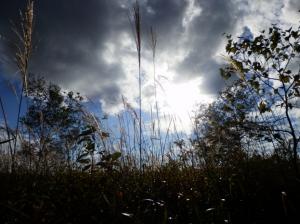 白い雲のように