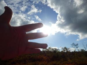 季節を触れたくて