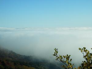 雲海01