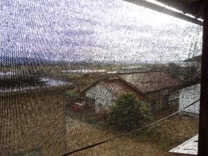 日光の直射を遮るための黒いシーツ