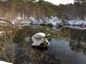 凍結しないわけとは？