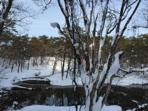 温泉だからです!