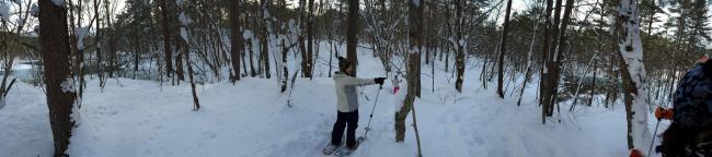 自然の贈り物に感謝