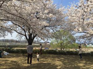 誰もが春の一部になる