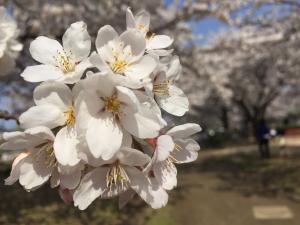 この瞬間を目に焼き付けたい