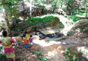 地区調査時※本文と関係ないですが(生活用水になっているも水質改善が必要な川を視察)