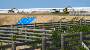 造成中の海岸防災林01