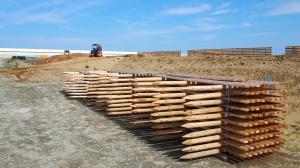 防災林の防風柵